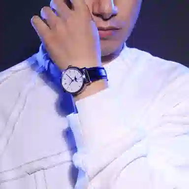 SEA GULL 819.12.6136