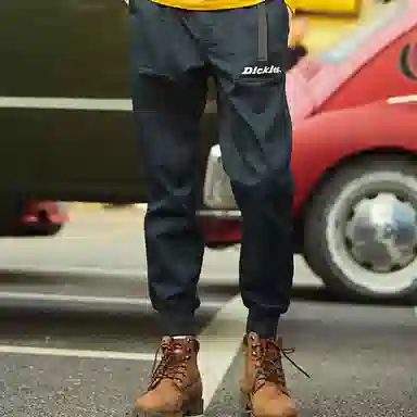 Dickies Logo