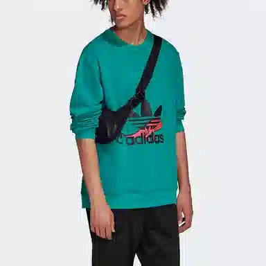 adidas originals Hoody Sweatshirt