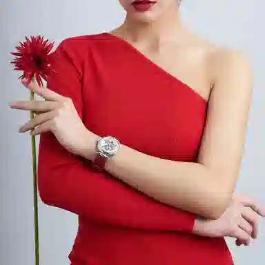 Sea-Gull 811.15.6002L