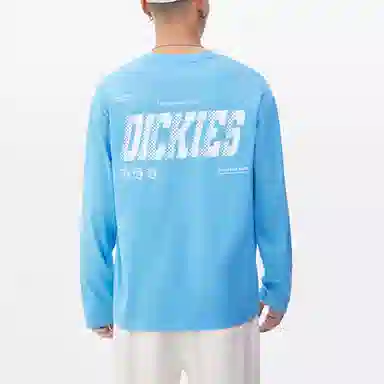 Dickies SS23 T
