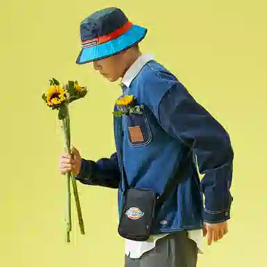 Dickies 100