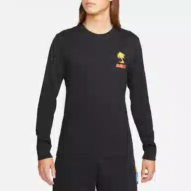Nike Lebron Sfg T