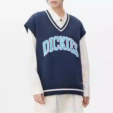Dickies V