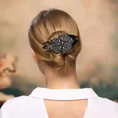 Cercoo Black Diamond Hair Clip
