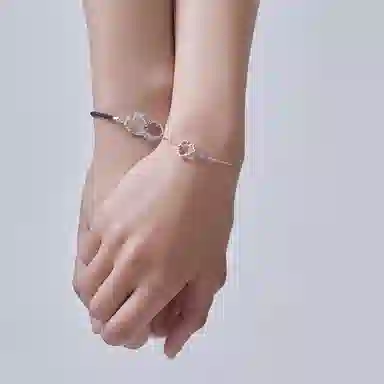 DaisyFellowes DF 925