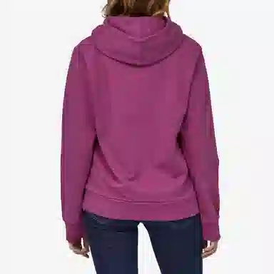 Patagonia Hoodie