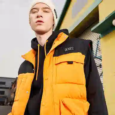 Dickies
