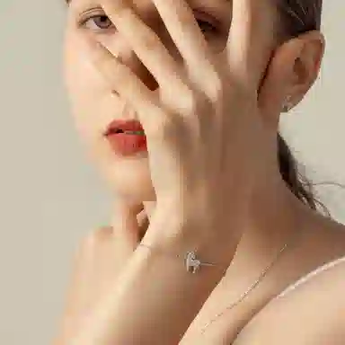 Daisy Fellowes AY S925