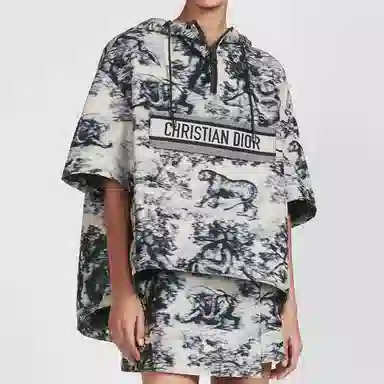 Dior FW23 Logo Print Hoodie