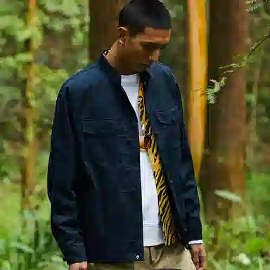 Dickies logo