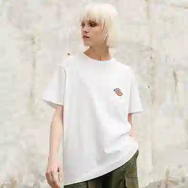 Dickies SS21 logoT