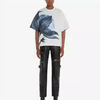 Alexander McQueen T