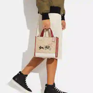 COACH Dempsey 22 Tote