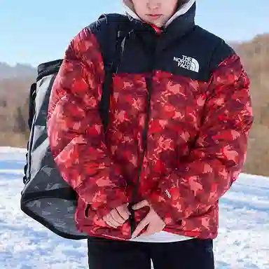 The North Face 1996 Nuptse