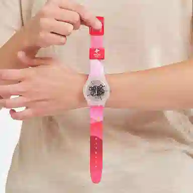 SWATCH 41mm SO29Z105