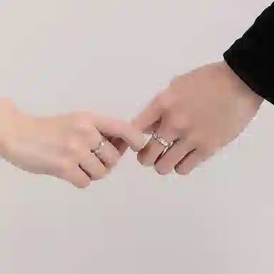 PARAS KORS PK Meteorite