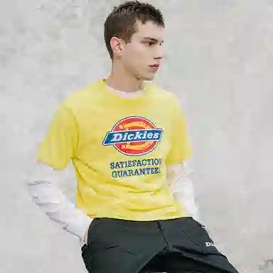 Dickies SS21 T