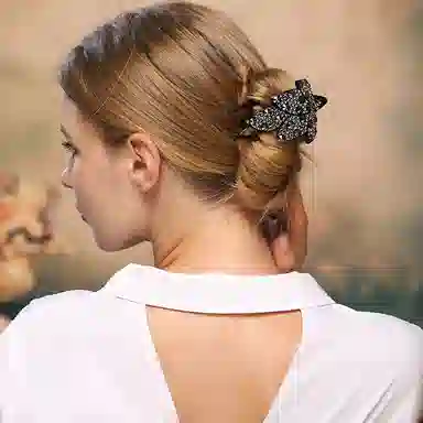 Cercoo Black Diamond Hair Clip