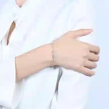 DaisyFellowes S925 AY