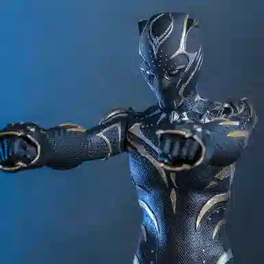 Hot Toys Black Panther Wakanda Forever 1:6 Scale