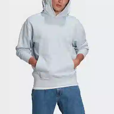 adidas originals Premium Hoody