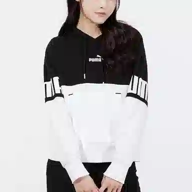 Puma Power Colorblock Hoodie