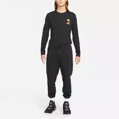 Nike Lebron Sfg T