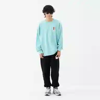 FEAROM T
