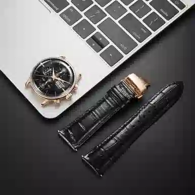 REEF TIGER RGA1699-PJHH