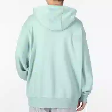 adidas originals Adicolor Hoody Logo