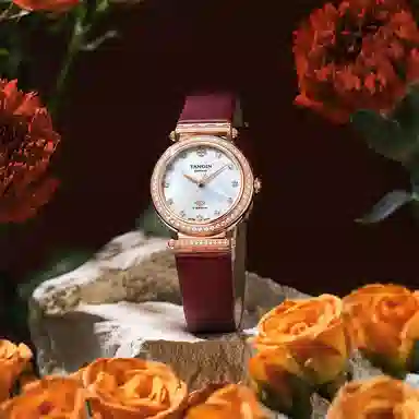 TANGIN 30mm T1065LHSDS