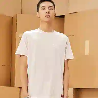 Dickies logoT