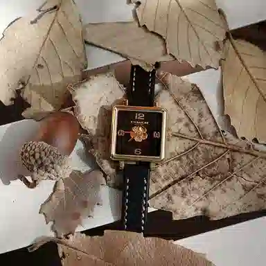 COACH Cass Watch 14503695