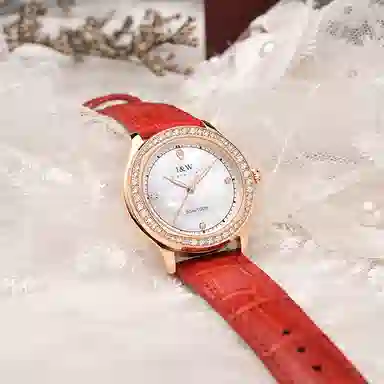 IW CARNIVAL HWGUOJI DW8593L