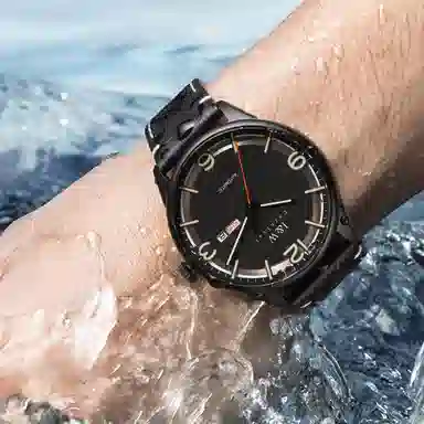 IW CARNIVAL HWGUOJI DW578G