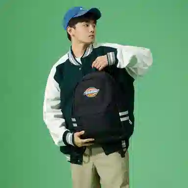 Dickies 100