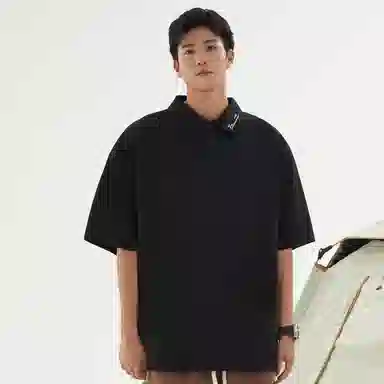 STANAIR LogoPolo