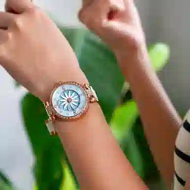 REEF TIGER RGA1599-ML