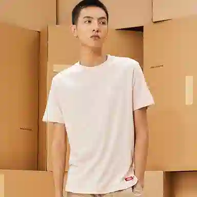 Dickies logoT