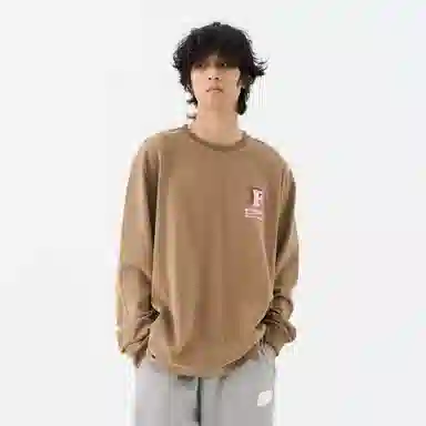 FEAROM T