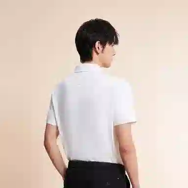 Tommy Hilfiger polo
