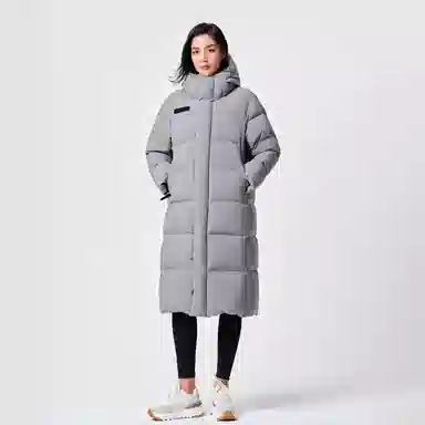 PELLIOT 650