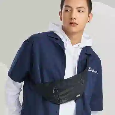 Dickies Logo