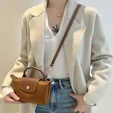 Longchamp Mini Bag Strap Brown