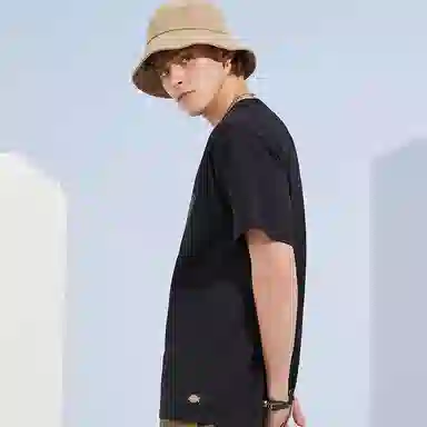 Dickies SS22 logoT