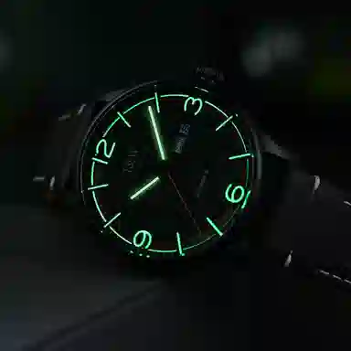 IW CARNIVAL HWGUOJI DW578G