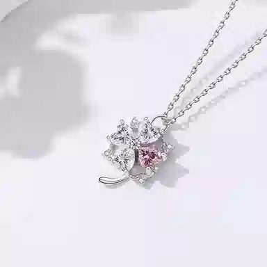 CHIEMOT s925250