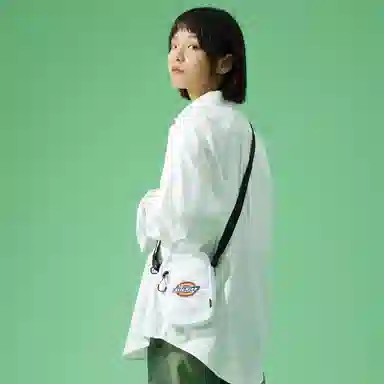 Dickies Classic Series White