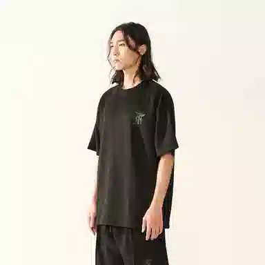 FEAROM T